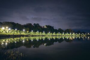 Мертвых рыб нашли и в Глданском озере. Идет проверка